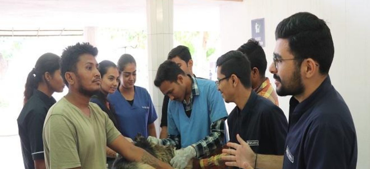 Get Expert Guidance for Your Veterinary Journey